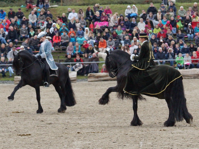 Dillenburg_2015_1.jpg