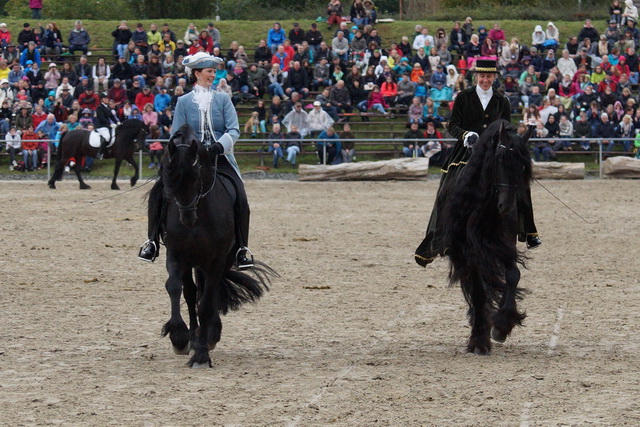 Dillenburg_2015_2.jpg