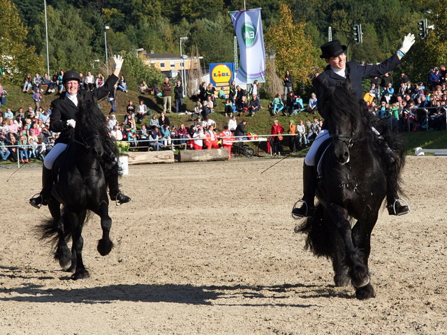 Dillenburg_2015_8.jpg